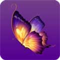 成版年蝴蝶视频app  v2.44.1